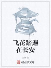 飞花踏遍在长安封面