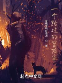 一个路过的冒险家封面