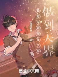 我把闲置物品交易做到天界封面