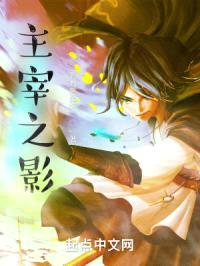主宰之影封面