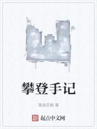 攀登手记封面