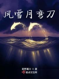 风雪月弯刀封面