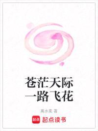 苍茫天际一路飞花封面