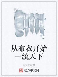 从布衣开始一统天下封面