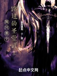 我只是个路过的圣堂武士封面