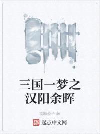 三国一梦之汉阳余晖封面