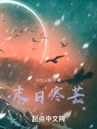末日寒芒封面
