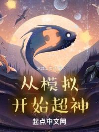 从模拟开始超神封面