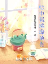 心中最璀璨的光封面