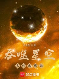吞噬星空之时光模拟封面