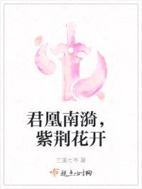 君凰南漪，紫荆花开封面