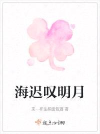 海迟叹明月封面