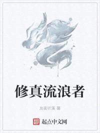 修真流浪者封面