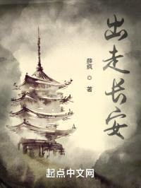 出走长安封面