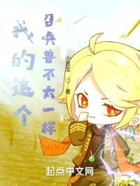 我的这个召唤兽不太一样封面