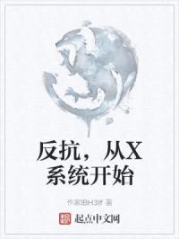 反抗，从X系统开始封面