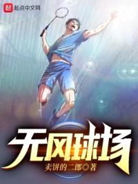无风球场封面