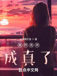 我的选项成真了！封面
