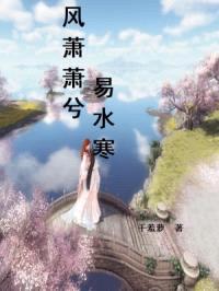 风萧萧兮易水寒封面