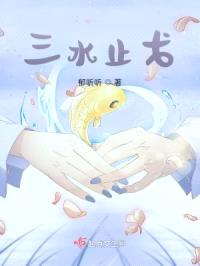 三水止戈封面