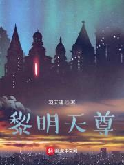 黎明天尊封面