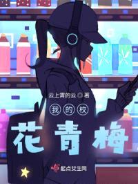 我的校花青梅封面