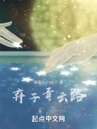 弃子青云路封面