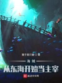 海贼：从东海开始当主宰封面