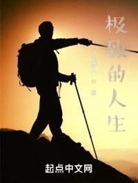 极致的人生之上半生日记封面