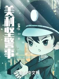 美利坚警事封面