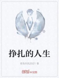 挣扎的人生封面