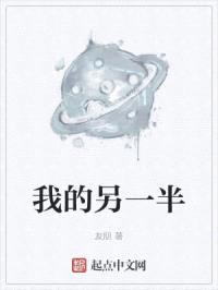 我的另一半封面