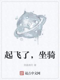 起飞了，坐骑封面