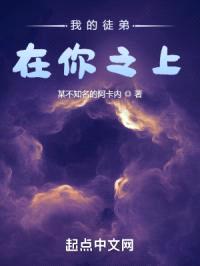 我的大佬在你之上封面