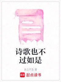 诗歌也不过如是封面