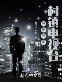 开局继承村镇电视台封面