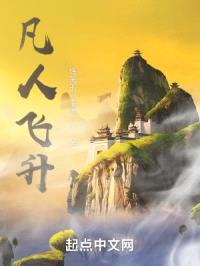 凡人飞升封面