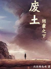 废土：阴霾之下封面