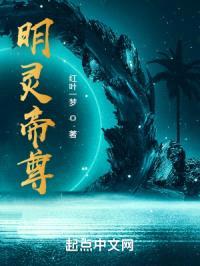 明灵帝尊封面