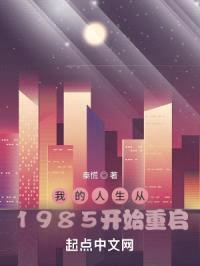 我的人生从1985开始重启封面