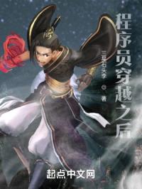 程序员穿越之后封面