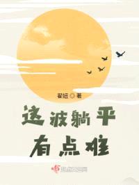 这波躺平有点难封面