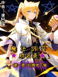 魔法剑圣成名录封面