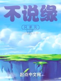 不说缘，只求元封面