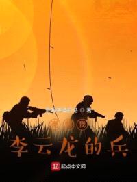 亮剑我李云龙的兵封面