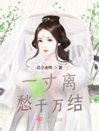 一寸离愁千万结封面
