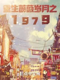 重生蔷薇岁月之1979封面