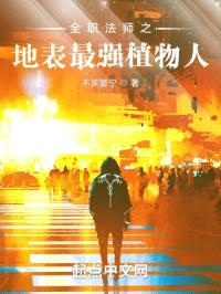 全职法师之我要推翻圣城独裁统治封面