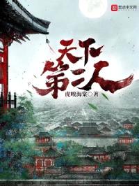 天下第二人封面