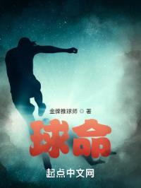 球命封面